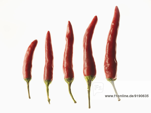 Rote Chilis in der Größenordnung über weißem Hintergrund