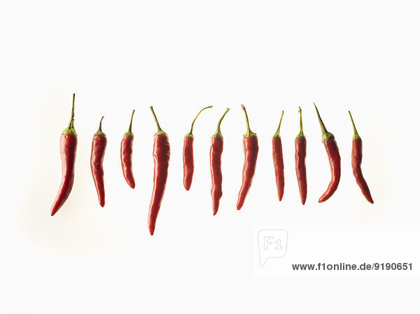 Rote Chilis in einer Reihe über weißem Hintergrund