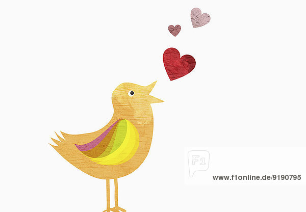 Singvogel mit Herzformen,  die Liebe vor weißem Hintergrund darstellen.