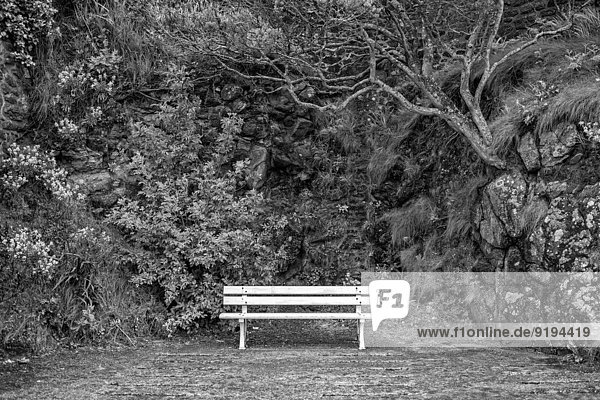 Empty park bench  Promenade des Alliés  Dinard  Ille et Vilaine  Brittany  France