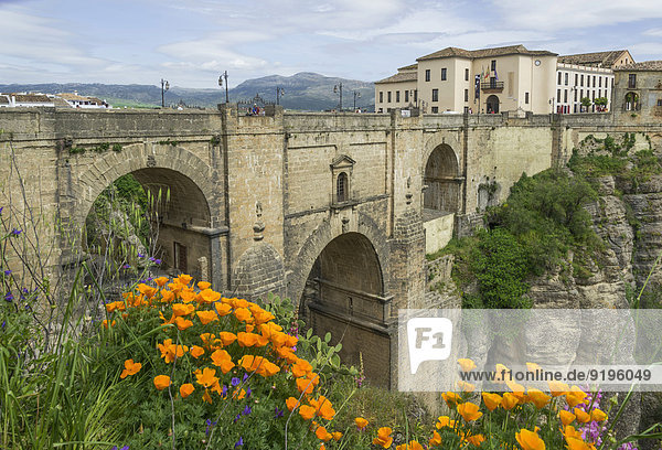 Brücke El Puente Nuevo  Ronda  Provinz Málaga  Andalusien  Spanien
