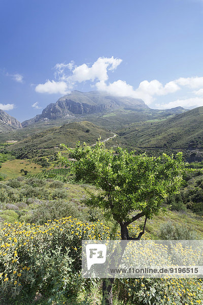 Tal von Megalopotamos  Kouroupa und Xiro-Berge  Rethymno  Kreta  Griechenland
