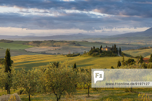 Baum Landschaft Hügel Bauernhof Hof Höfe Morgendämmerung UNESCO-Welterbe Italien Toskana Morgenlicht Provinz Siena
