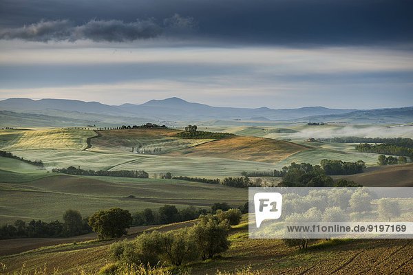 Landschaft mit Hügeln  Morgenlicht  UNESCO Weltkulturerbe Val d'Orcia  bei Pienza  Provinz Siena  Toskana  Italien