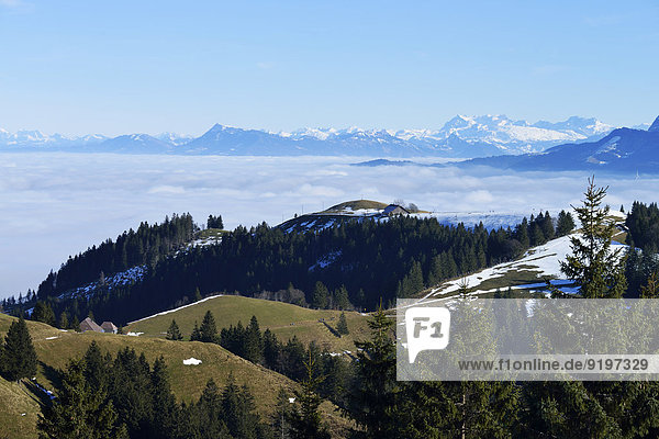 Meer Nebel Alpen Ansicht Mittelpunkt schweizerisch Schweiz Kanton Bern