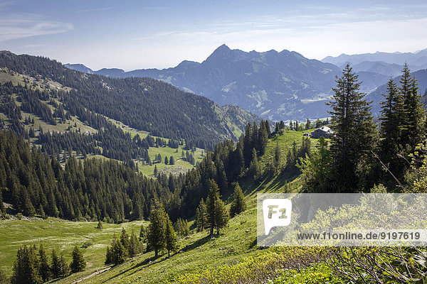 Rotwandgebiet  Kleintiefental  Schliersee  Oberbayern  Bayern  Deutschland