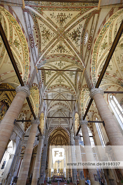 Verona Cathedral or Duomo di Verona  Cattedrale di Santa Maria Matricolare  interior view  Verona  Veneto  Italy