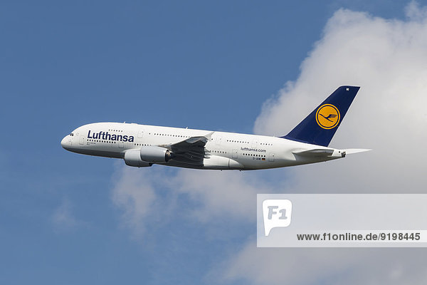 Airbus A380-800 der Lufthansa beim Start vom Frankfurter Flughafen  Frankfurt am Main  Hessen  Deutschland