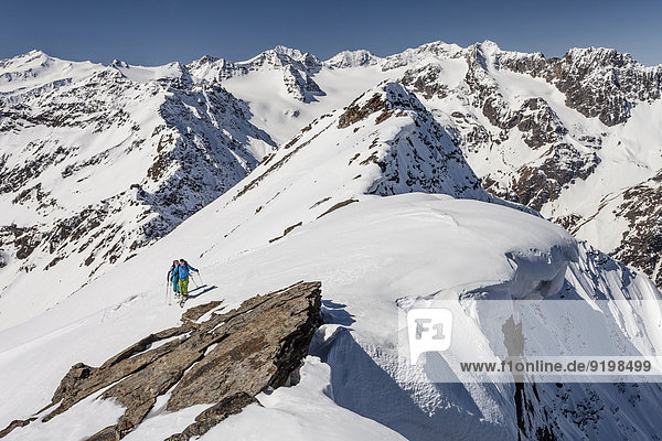 Skitourengeher auf dem Gipfelgrat mit Schneewechte  beim Aufstieg auf die Laaser Spitze im Martelltal  hinten die Ortlergruppe mit König  Zebru und Ortler  links die Zufallspitze und Cevedale  Nationalpark Stilfserjoch  Südtirol  Italien