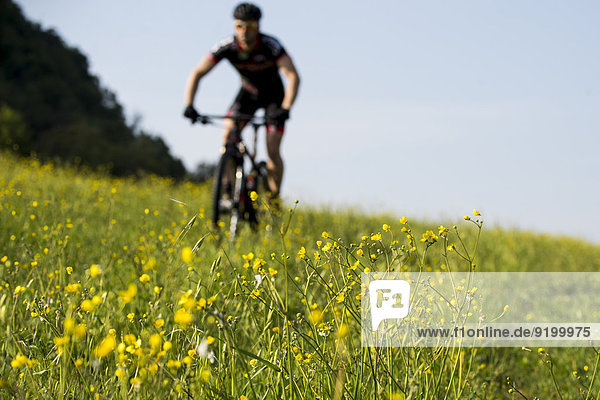 Man riding mountain bike in nature in the Bologna countryside  Italy