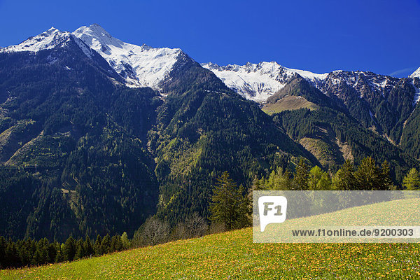 Ahornspitze  Zillertaler Alpen  Zillertal  Tirol  Österreich  Europa