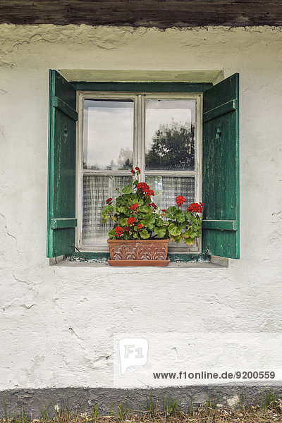 Fenster eines Bauernhauses mit Blumenkasten  Salzburger Land  Österreich  Europa
