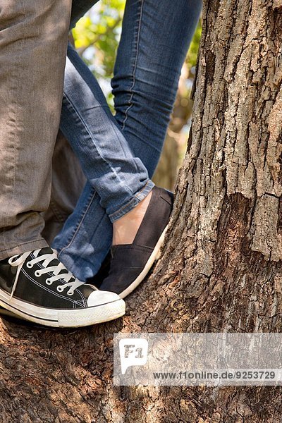 Beine und Füße eines jungen Paares auf einem Baum stehend