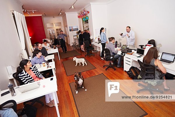Menschen bei der Arbeit in einem modernen Büro mit Hunden