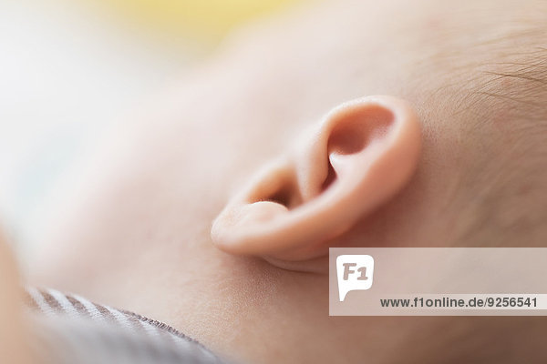Close up of baby boy's(2-5 months) ear