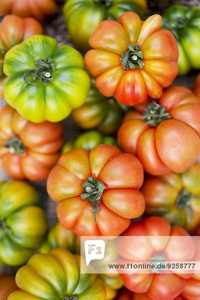 Verschiedene Fleischtomaten (Draufsicht)