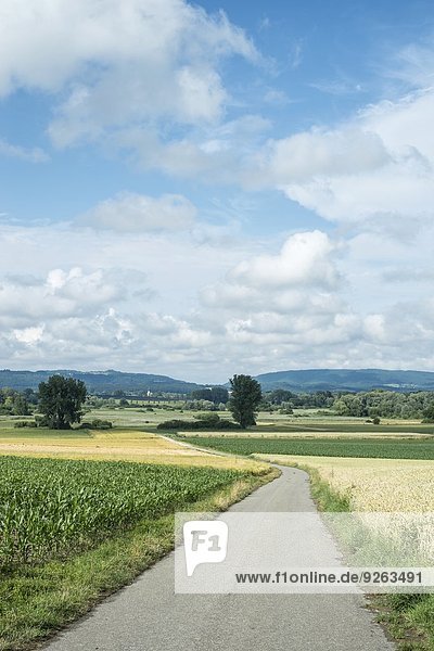 Deutschland  Baden-Württemberg  Landkreis Konstanz  Blick auf Landschaft mit Agrarstraße