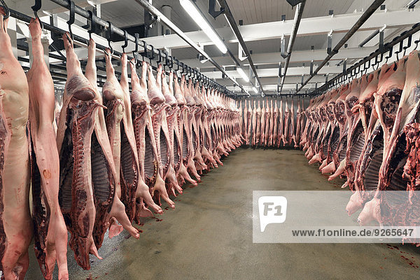 Schweinehälften im Kühlhaus eines Schlachthofes