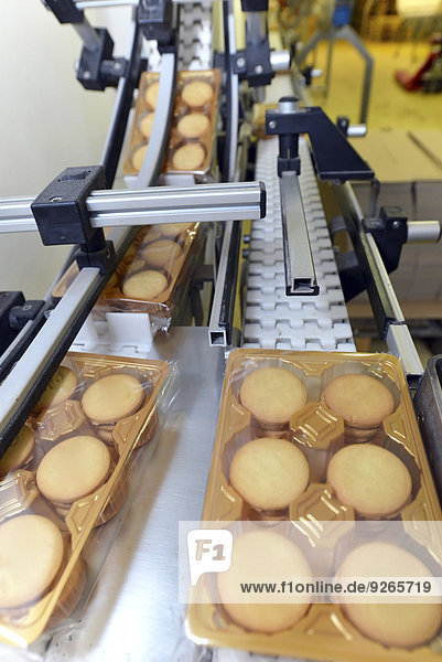 Deutschland  Sachsen-Anhalt  Produktionslinie mit Blisterverpackungen von Keksen in der Backwarenindustrie