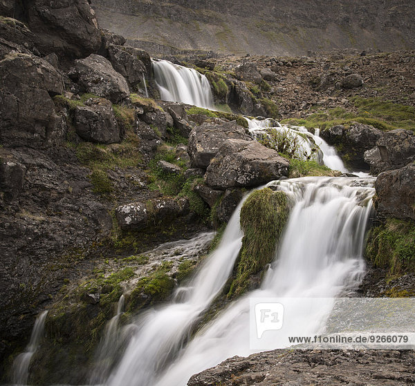 Island  Westfjorde  Dynjandi Wasserfall