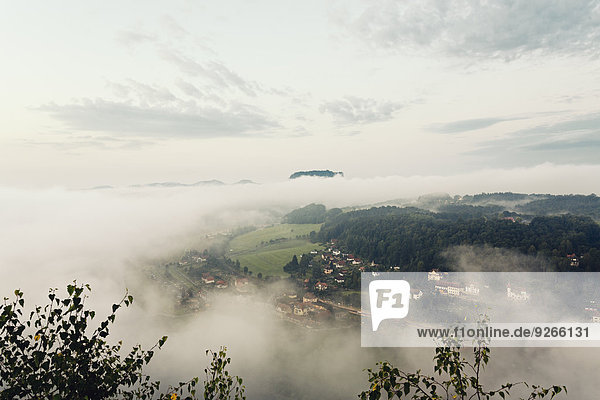 Deutschland  Sachsen  Elbsandsteingebirge im Nebel
