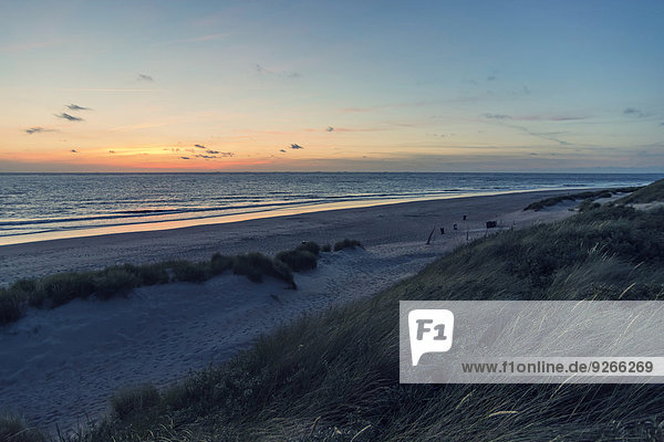 Niederlande  Ouddorp  Strand bei Sonnenuntergang
