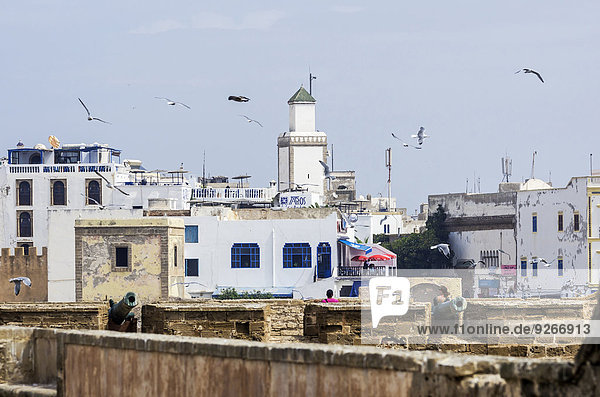 Morocco  Essaouira  Kasbah  city wall and cityscape