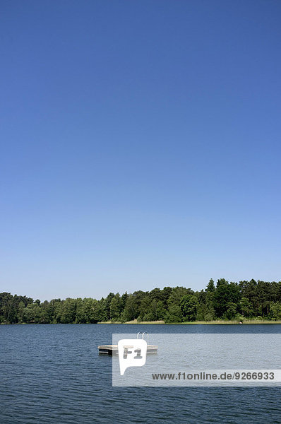 Germany  Brandenburg  pontoon with little ladder in a lake