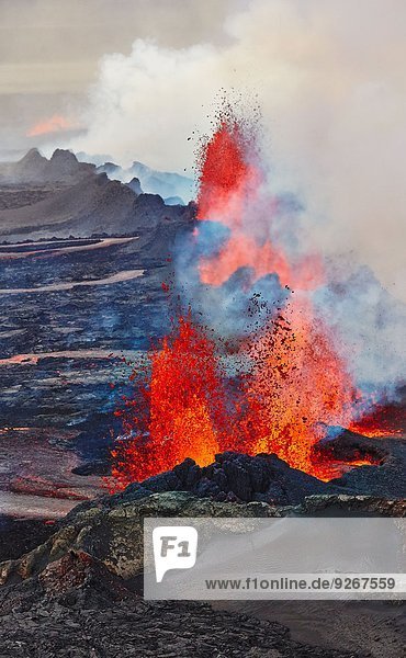 Vulkan Bardarbunga  Blick auf die Eruption am Lavafeld Holuhraun am 02.09.2014  Island