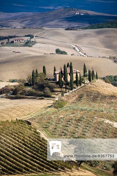 Distant view of farmhouse in agricultural landscape  Siena  Valle D'Orcia  Tuscany  Italy