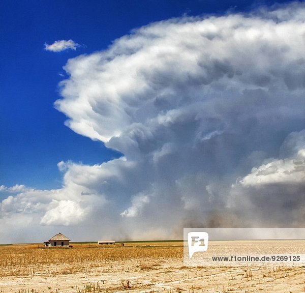 Eine leistungsstarke Superzelle mit starker Rückflankenabsenkung von links nach rechts in diesem Bild wirbelt Staub und Böen in der Nähe eines verlassenen Bauernhauses,  Sheridan Lake,  Colorado,  USA auf.