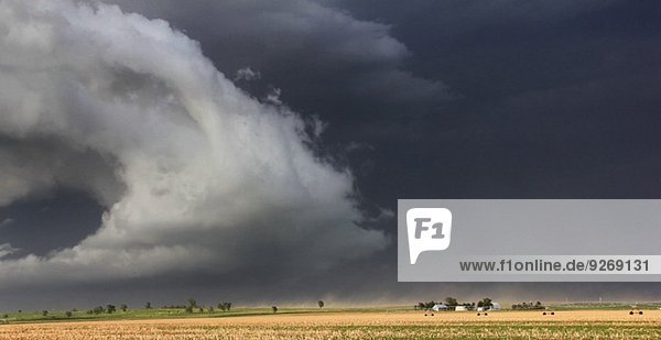 Eine dramatische Böenfront fegt über die Ernten dieser Farm  die Staub und starke Winde aufwirbelt  Lexington  Nebraska  USA