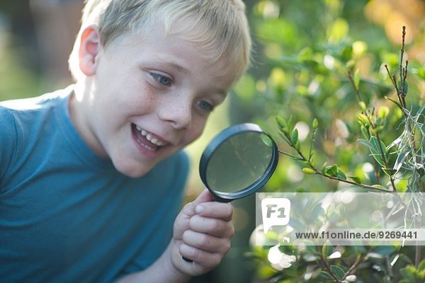 Junge entdeckt Pflanzen mit Lupe im Garten