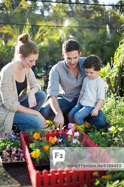 Couple and son with miniature garden on allotment