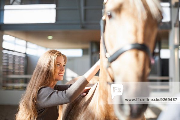 Young female stablehand grooming palomino horse