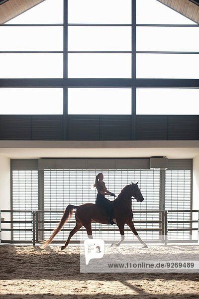 Mid adult woman trotting on chestnut horse in indoor paddock