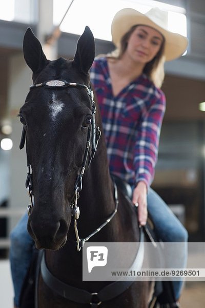 Young woman horseback rider patting horse in indoor paddock