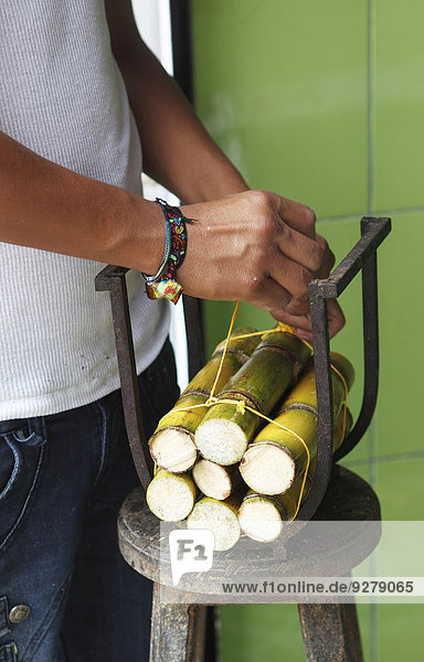 Männerhände binden Zuckerrohrstangen für den Verkauf  Puyo  Provinz Pastaza  Ecuador