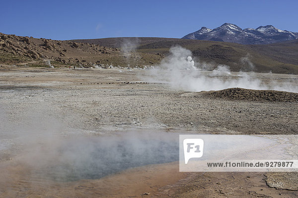 Tatio Geysire  Dampfquellen  San Pedro de Atacama  Región de Antofagasta  Chile