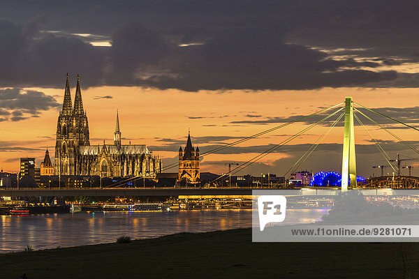 Rheinpanorama mit Dom  Severinsbrücke  Musical Dome und Kirche Groß St. Martin  Abenddämmerung  Köln  Nordrhein-Westfalen  Deutschland