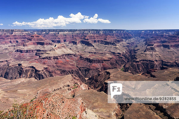 View from the South Rim of Grand Canyon  Arizona  America  USA