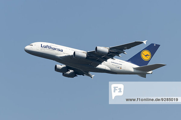 Airbus A380-800 Lufthansa starting from Frankfurt Airport  Frankfurt am Main  Hesse  Germany