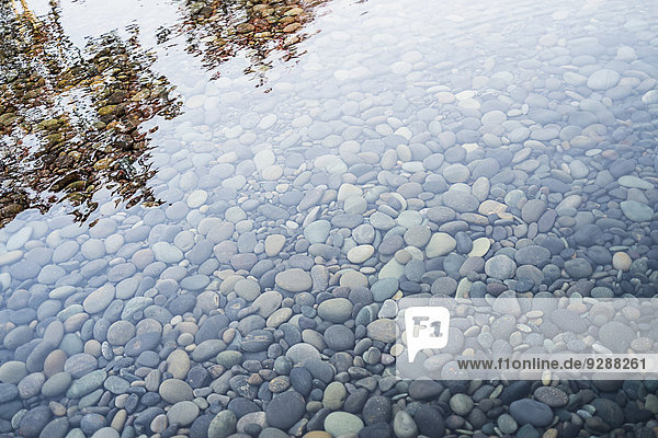 Kieselsteine auf einem Flussbett. Spiegelungen und Wellen auf der Oberfläche.