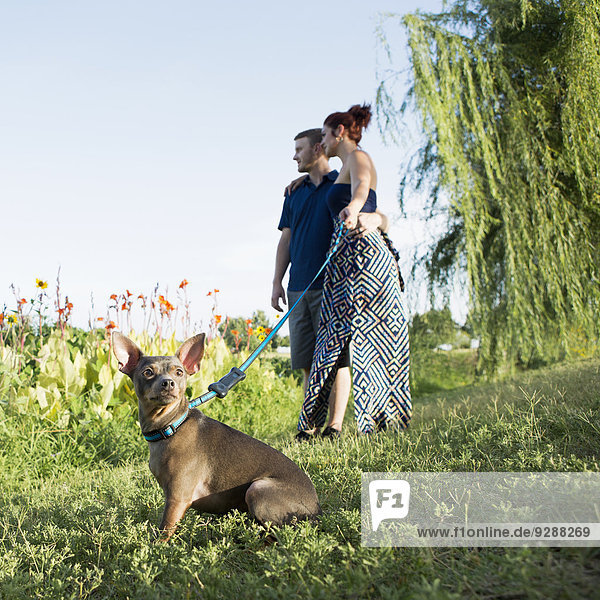 Ein Paar im Park mit einem kleinen Hund an der blauen Leine.