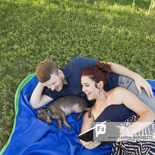 A couple on a blue rug with a small dog. A woman holding a digital tablet.