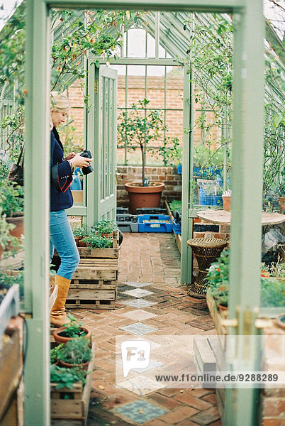 A woman in a conservatory  holding a camera  surrounded by plants.