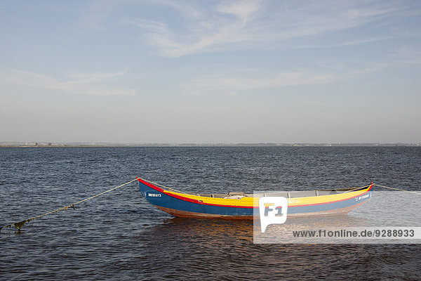 Ein traditionelles Moliceiros-Fischerboot mit hohem Bug  in lebhaften Farben bemalt  vertäut vor der Küste bei Torreira.