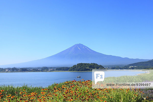 Fuji Five Lakes  Yamanashi Prefecture  Japan