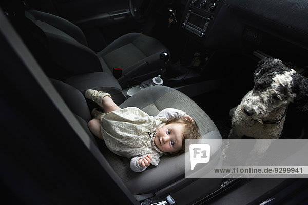 Kleines Mädchen und Portugiesischer Wasserhund im Auto