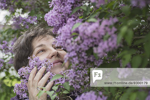 Fröhliche reife Frau  die blühende Blumen im Park betrachtet.